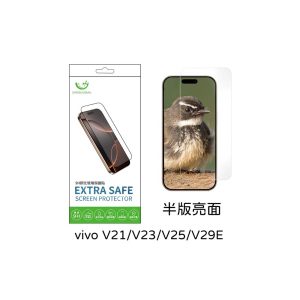 Extrasafe｜vivo V21/V23/V23e/V25/V29E保護貼 ExtraSafe 2.5D 半版亮面 9H鋼化玻璃貼